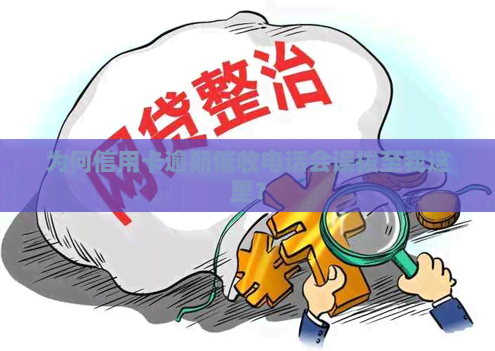 为何信用卡逾期电话会误拨至我这里？