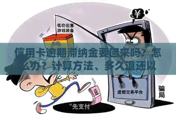 信用卡逾期滞纳金要回来吗？怎么办？计算方法、多久退还以及相关法规详解。