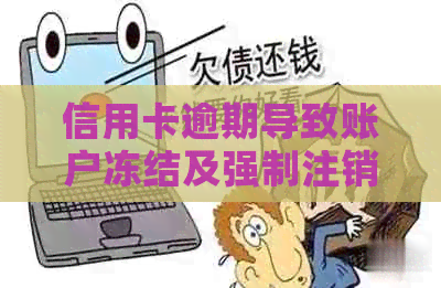 信用卡逾期导致账户冻结及强制注销：如何解决这一问题，恢复信用？
