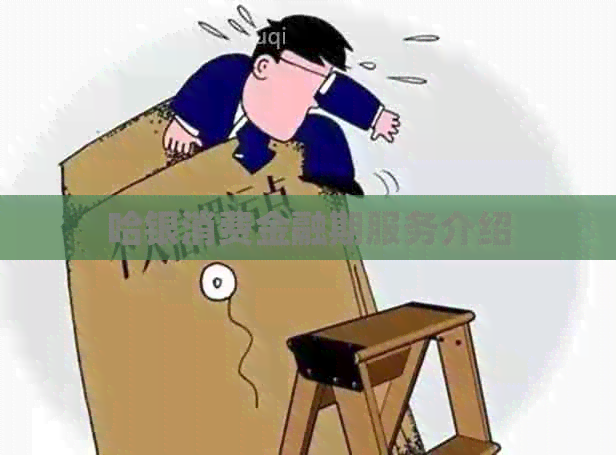 哈银消费金融期服务介绍