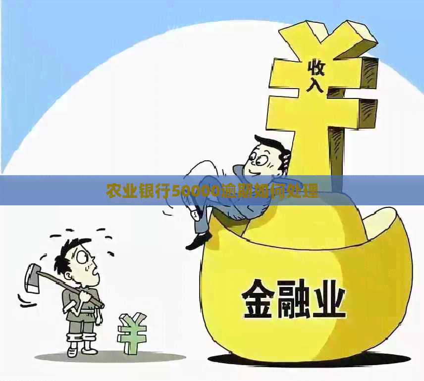 农业银行50000逾期如何处理