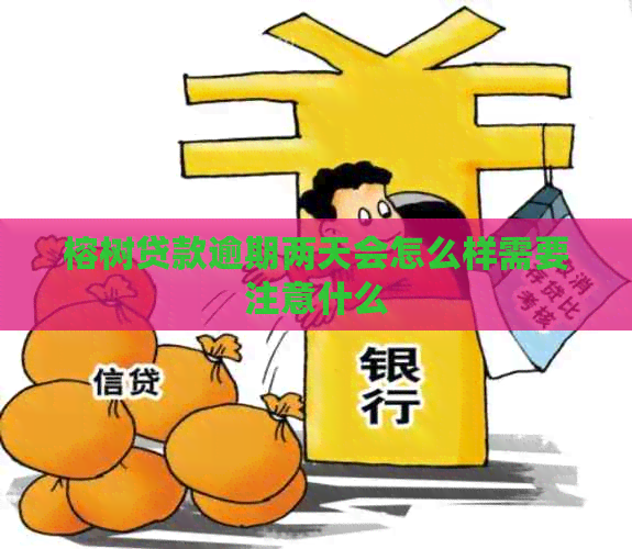 榕树贷款逾期两天会怎么样需要注意什么