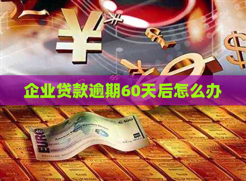企业贷款逾期60天后怎么办
