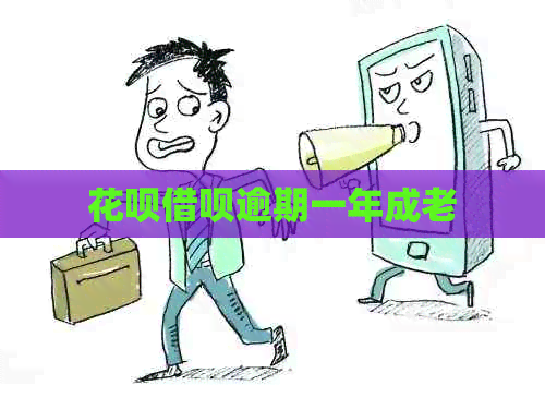 花呗借呗逾期一年成老