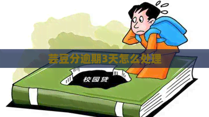 芸豆分逾期3天怎么处理