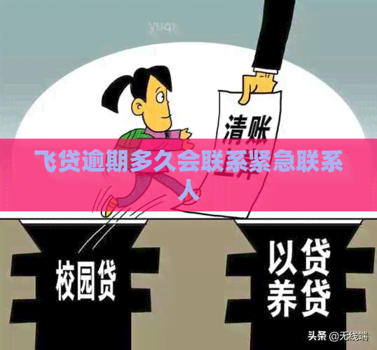 飞贷逾期多久会联系紧急联系人