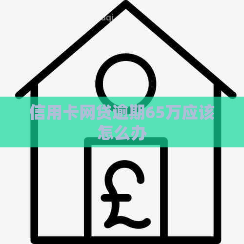 信用卡网贷逾期65万应该怎么办
