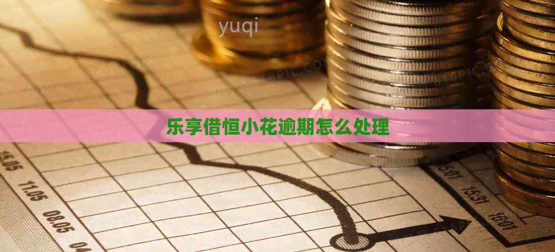 乐享借恒小花逾期怎么处理