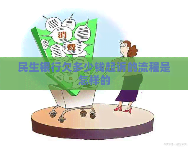 民生银行欠多少钱起诉的流程是怎样的