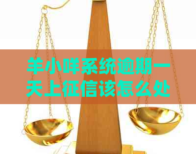羊小咩系统逾期一天上该怎么处理