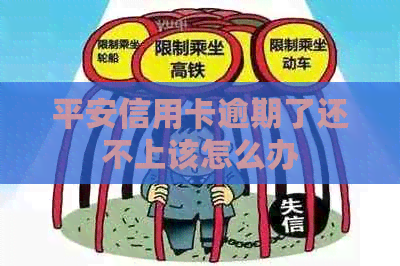 平安信用卡逾期了还不上该怎么办