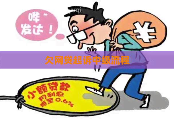 欠网贷起诉中级流程