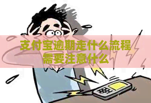 支付宝逾期走什么流程需要注意什么