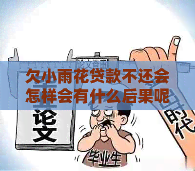 欠小雨花贷款不还会怎样会有什么后果呢