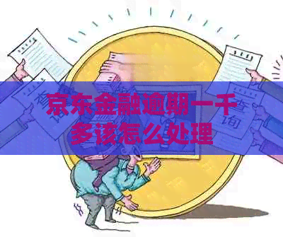 京东金融逾期一千多该怎么处理