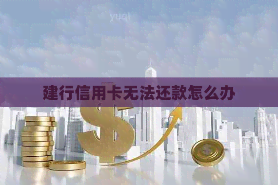 建行信用卡无法还款怎么办