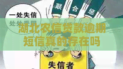 湖北农信贷款逾期短信真的存在吗