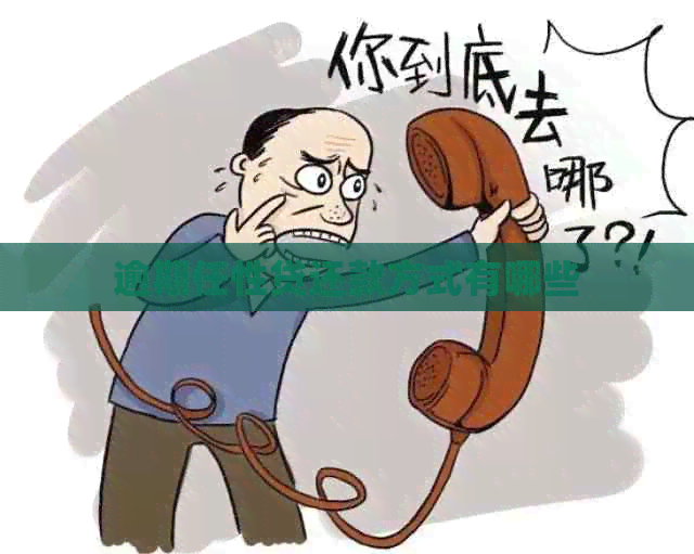 逾期任性贷还款方式有哪些