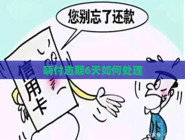 嗨付逾期6天如何处理