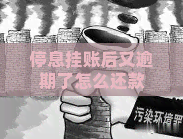 停息挂账后又逾期了怎么还款