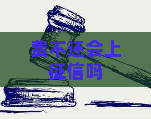 费不还会上吗