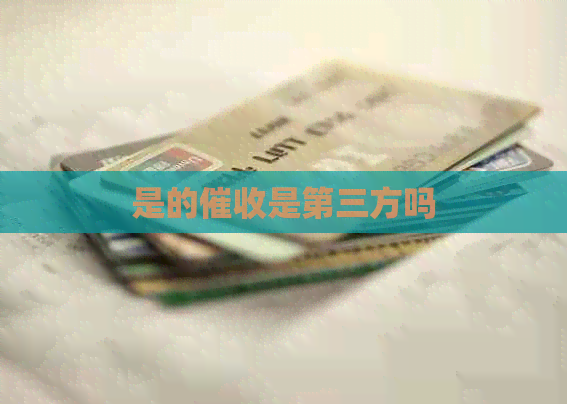 是的是第三方吗