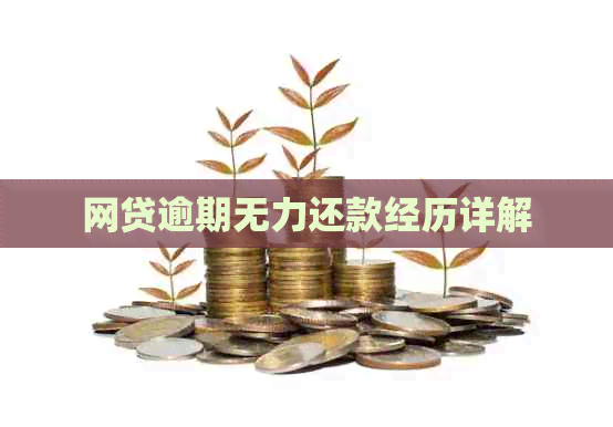 网贷逾期无力还款经历详解