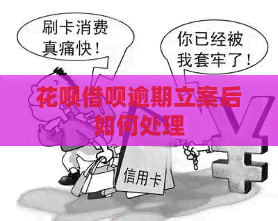 花呗借呗逾期立案后如何处理