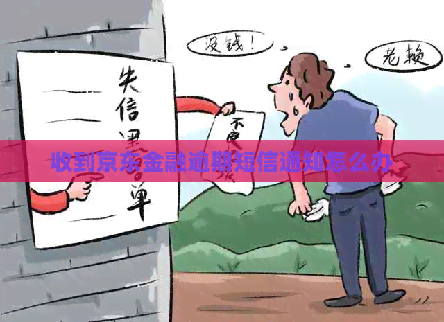 收到京东金融逾期短信通知怎么办
