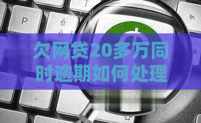 欠网贷20多万同时逾期如何处理
