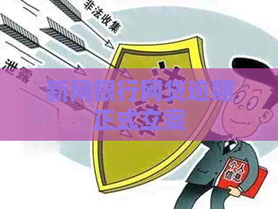 新网银行网贷逾期正式立案