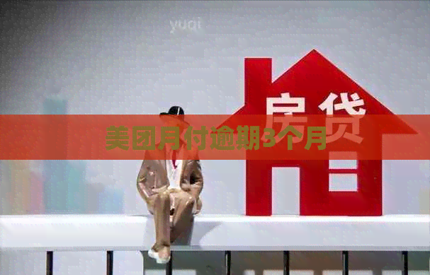 美团月付逾期3个月