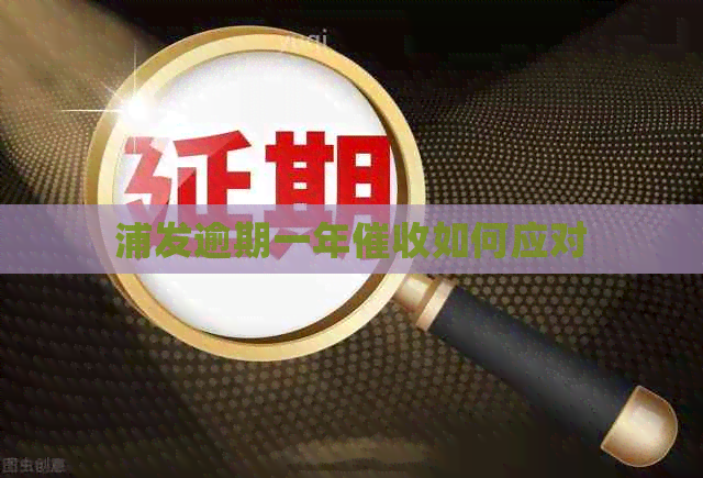 浦发逾期一年如何应对