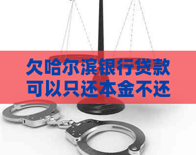 欠哈尔滨银行贷款可以只还本金不还利息吗