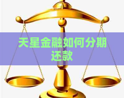 天星金融如何分期还款
