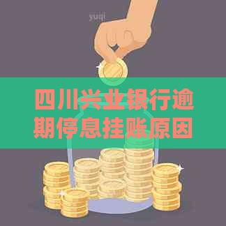 四川兴业银行逾期停息挂账原因及应对方法