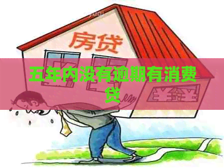 五年内没有逾期有消费贷