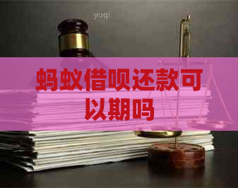 蚂蚁借呗还款可以期吗