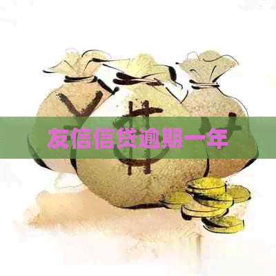 友信信贷逾期一年