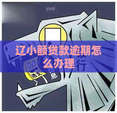 辽小额贷款逾期怎么办理