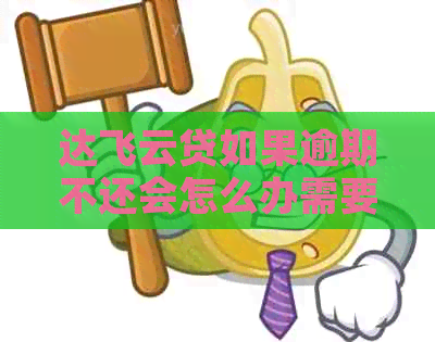 达飞云贷如果逾期不还会怎么办需要注意什么