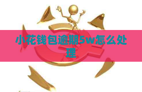 小花钱包逾期5w怎么处理