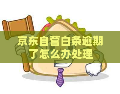 京东自营白条逾期了怎么办处理