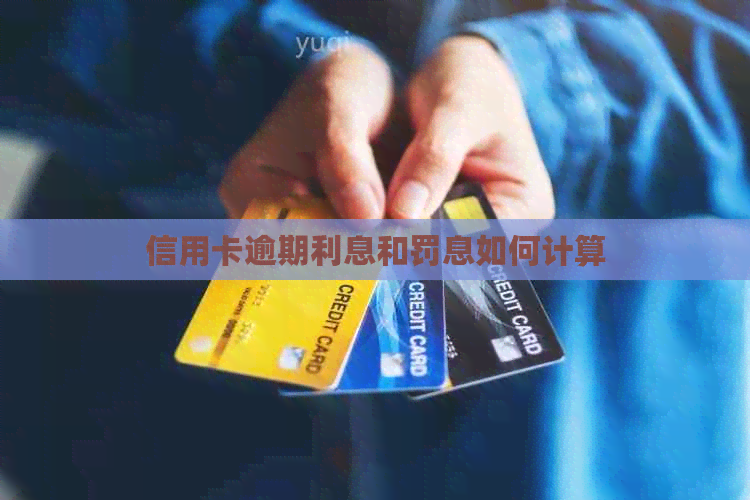 信用卡逾期利息和罚息如何计算