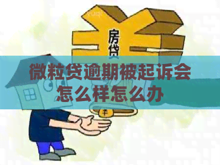 微粒贷逾期被起诉会怎么样怎么办