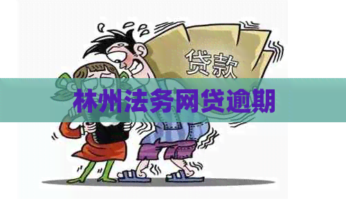 林州法务网贷逾期
