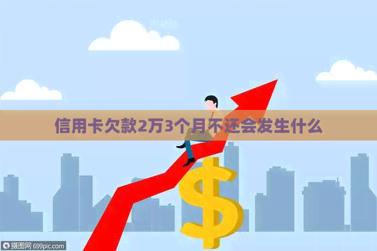 信用卡欠款2万3个月不还会发生什么