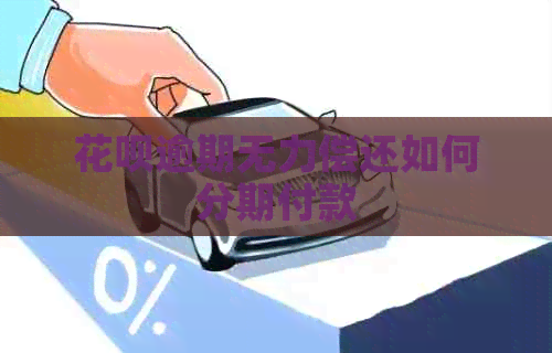 花呗逾期无力偿还如何分期付款