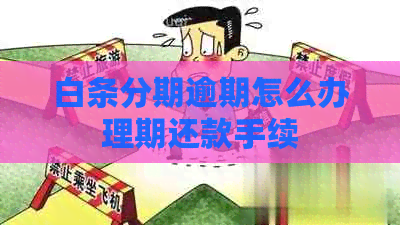 白条分期逾期怎么办理期还款手续
