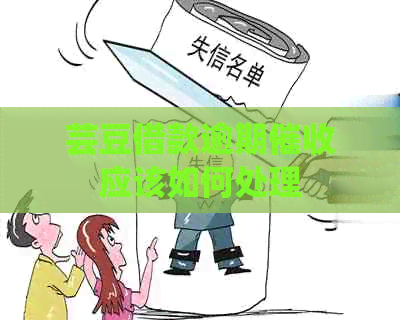 芸豆借款逾期应该如何处理
